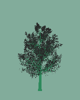 greenshift tree