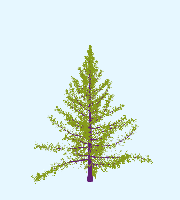 greenshift tree