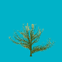 greenshift tree