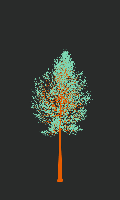 greenshift tree