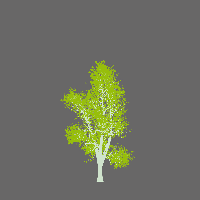 greenshift tree