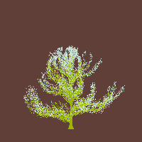 greenshift tree