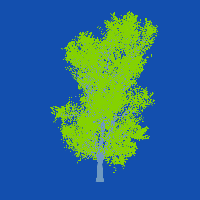 greenshift tree