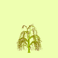 greenshift tree