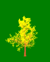 greenshift tree