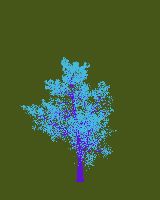 greenshift tree