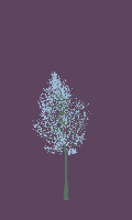 greenshift tree