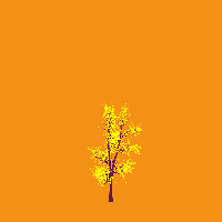 greenshift tree