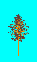 greenshift tree