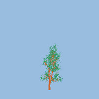 greenshift tree