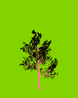 greenshift tree