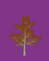 greenshift tree