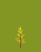 greenshift tree
