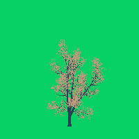 greenshift tree