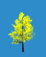 greenshift tree