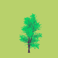 greenshift tree