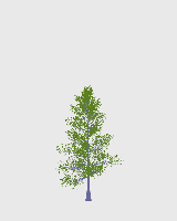 greenshift tree