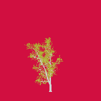 greenshift tree