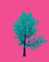 greenshift tree