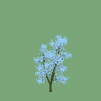 greenshift tree