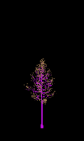 greenshift tree