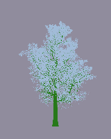 greenshift tree