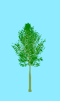 greenshift tree