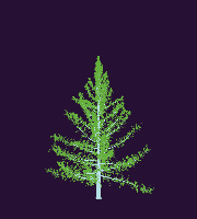 greenshift tree