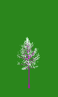 greenshift tree