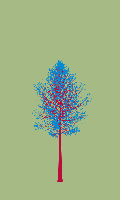 greenshift tree