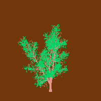 greenshift tree