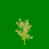 greenshift tree