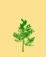 greenshift tree
