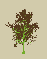 greenshift tree