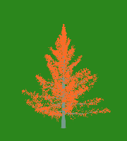greenshift tree