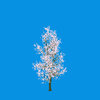 greenshift tree