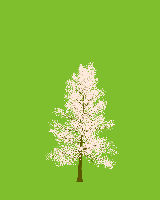 greenshift tree