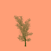 greenshift tree