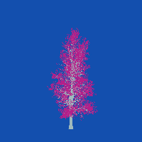 greenshift tree