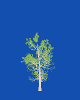 greenshift tree