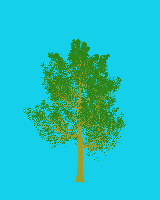 greenshift tree