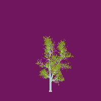 greenshift tree
