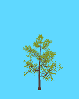 greenshift tree