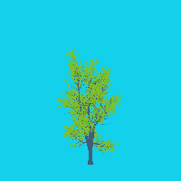 greenshift tree