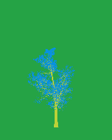 greenshift tree