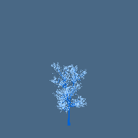 greenshift tree