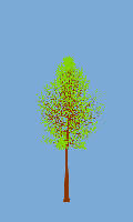 greenshift tree