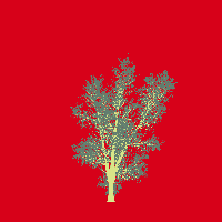 greenshift tree