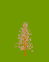 greenshift tree