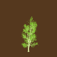 greenshift tree